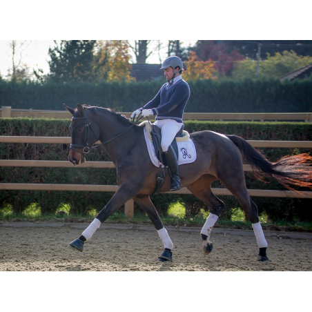 Jument dressage Finlande