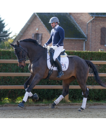 Jument dressage Finlande