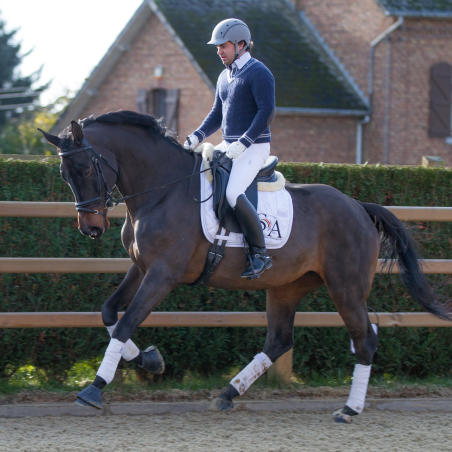 Jument dressage Finlande