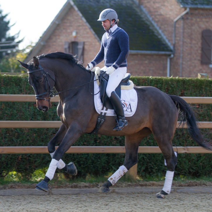 Jument dressage Finlande Jument dressage Finlande