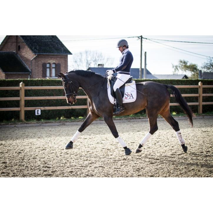 Jument dressage Finlande Jument dressage Finlande