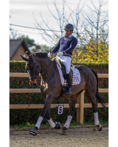 Jument dressage Finlande