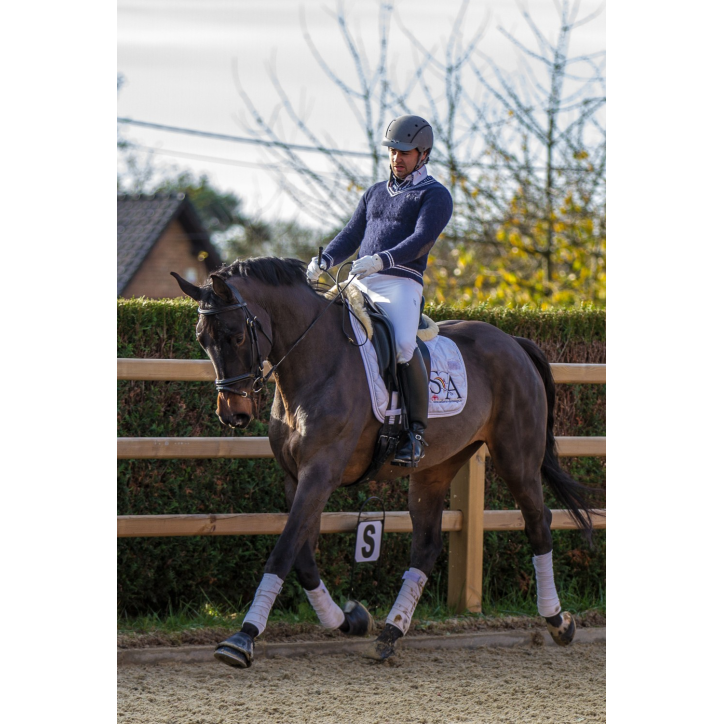 Jument dressage Finlande Jument dressage Finlande