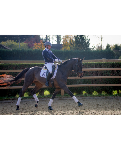 Jument dressage Finlande