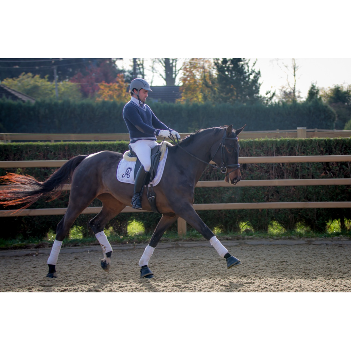 Jument dressage Finlande Jument dressage Finlande