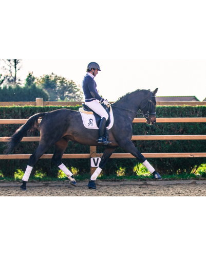 Jument dressage Finlande