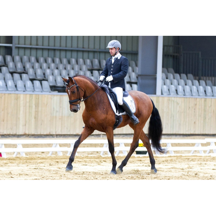 Hongre niv Inter I Hongre niv Inter I