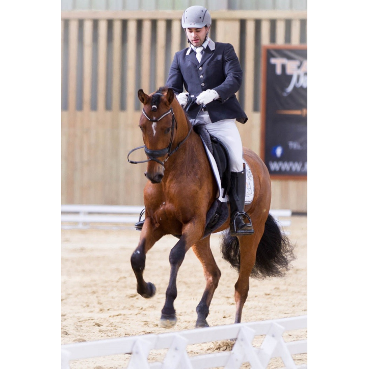 Hongre niv Inter I Hongre niv Inter I