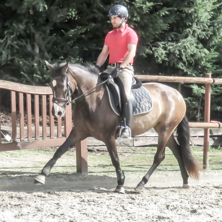 Jument PRE JC Jument PRE JC