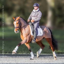 Jument Vice Championne JC 2015