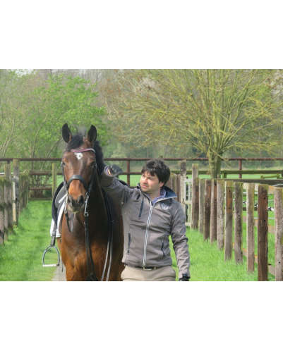 Jument bwp Niveau M10- Allemagne