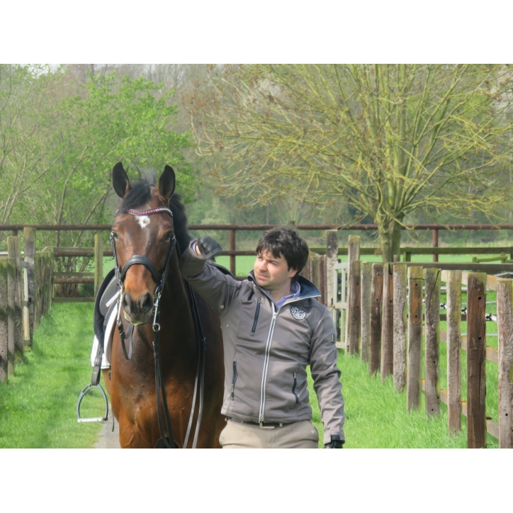 Jument bwp Niveau M10- Allemagne