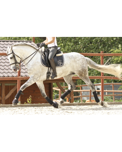 2003: étalon calificado