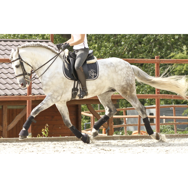 2003: étalon calificado 2003: étalon calificado