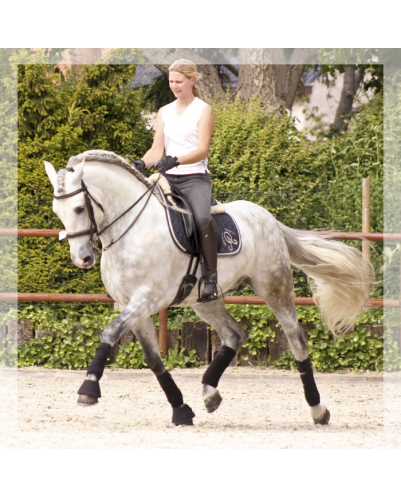 2003: étalon calificado