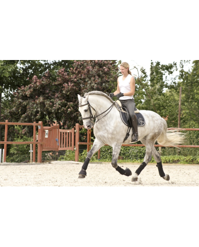 2003: étalon calificado