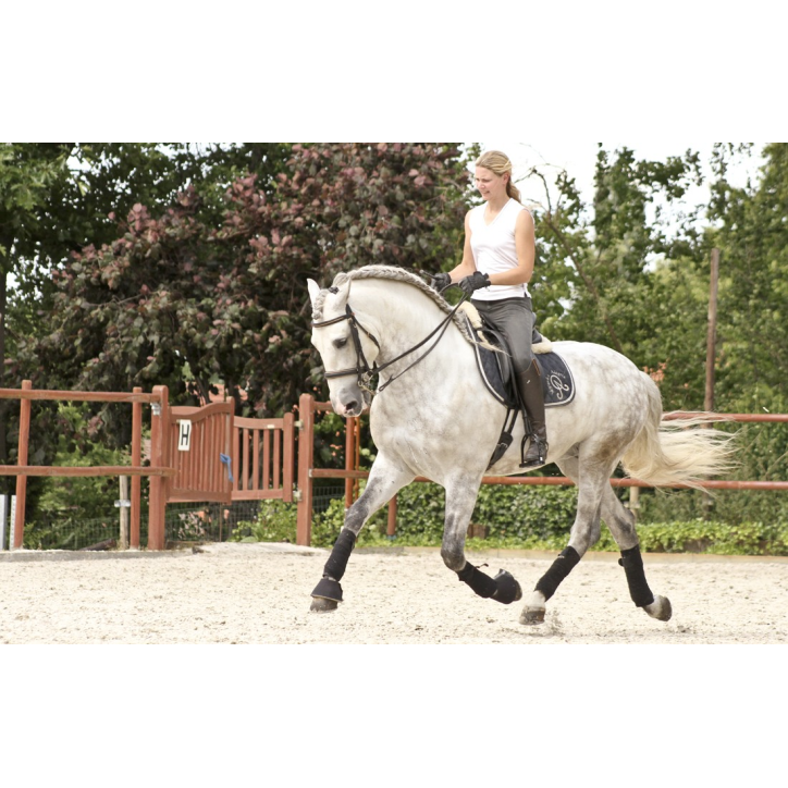 2003: étalon calificado 2003: étalon calificado