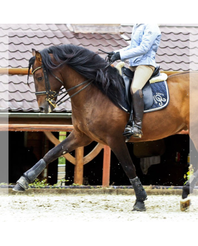 Cheval St-George « France »