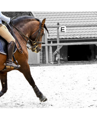 Cheval St-George « France »