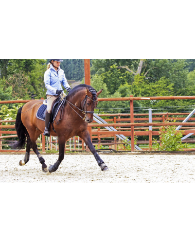 Cheval St-George « France »