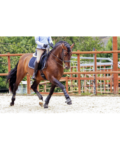 Cheval St-George « France »