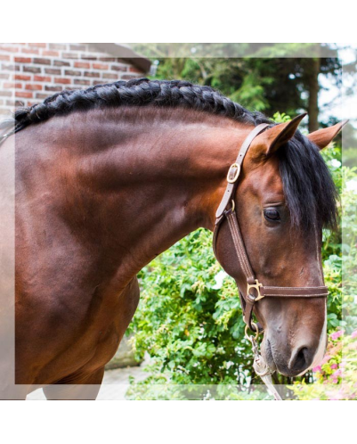 CDC 4ans « France »