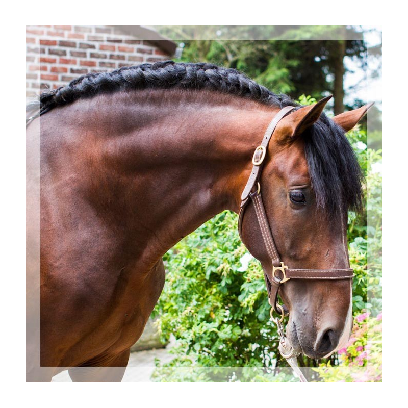 CDC 4ans « France »