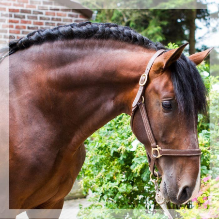 CDC 4ans « France »