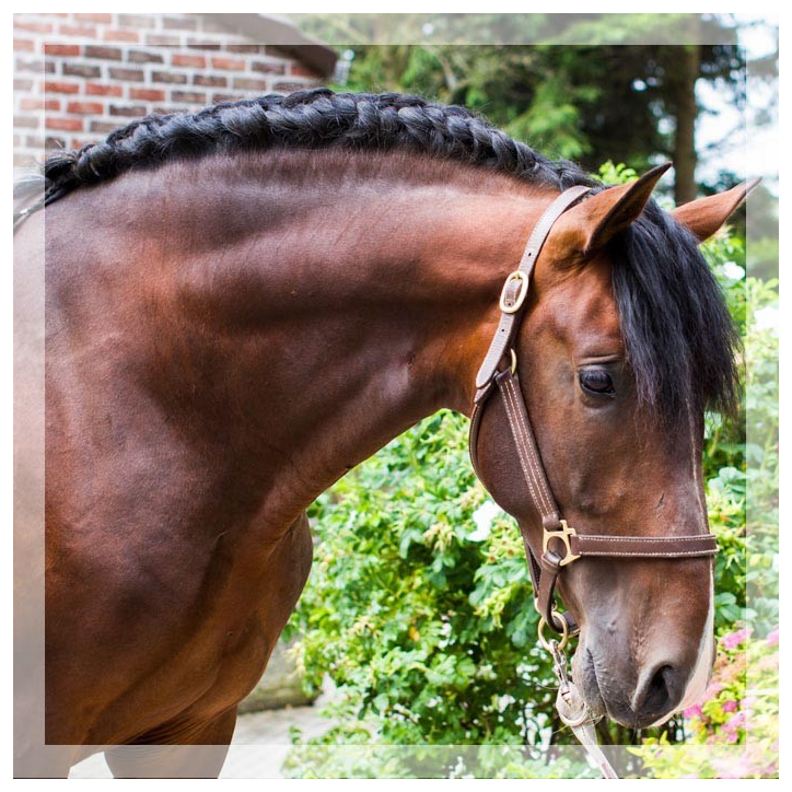 CDC 4ans « France » CDC 4ans « France »