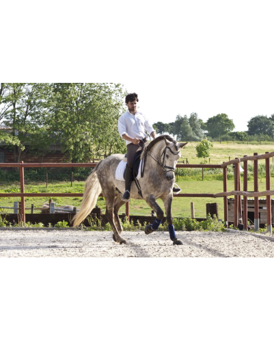 2006: Belgique Loisir