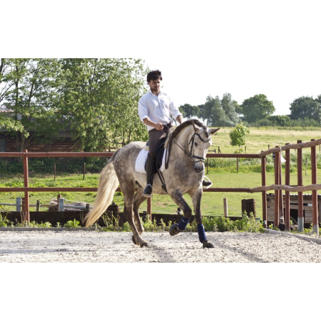 2006: Belgique Loisir