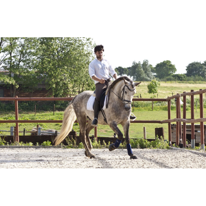 2006: Belgique Loisir