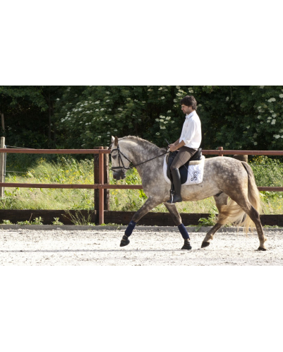 2006: Belgique Loisir