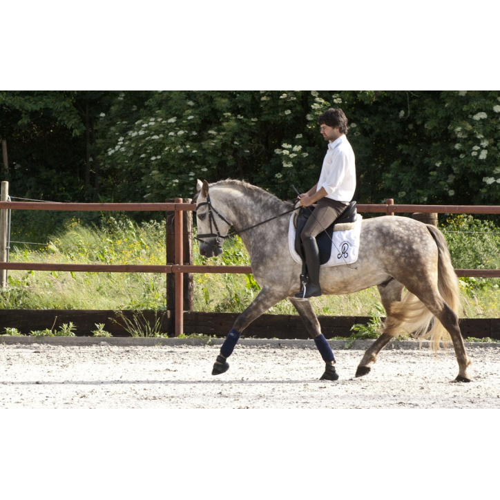 2006: Belgique Loisir