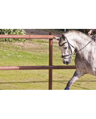 2006: Belgique Loisir