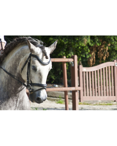 2006: Belgique Loisir