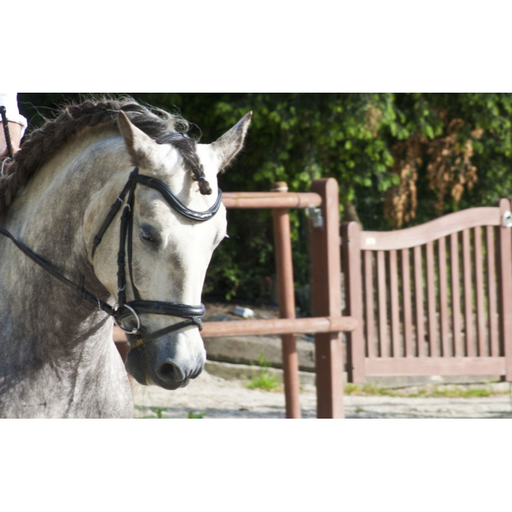 2006: Belgique Loisir