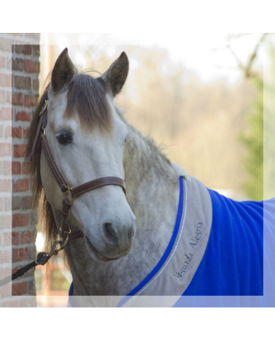 2006: Belgique Loisir