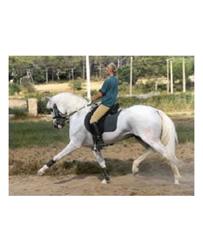 2006: Belgique Loisir