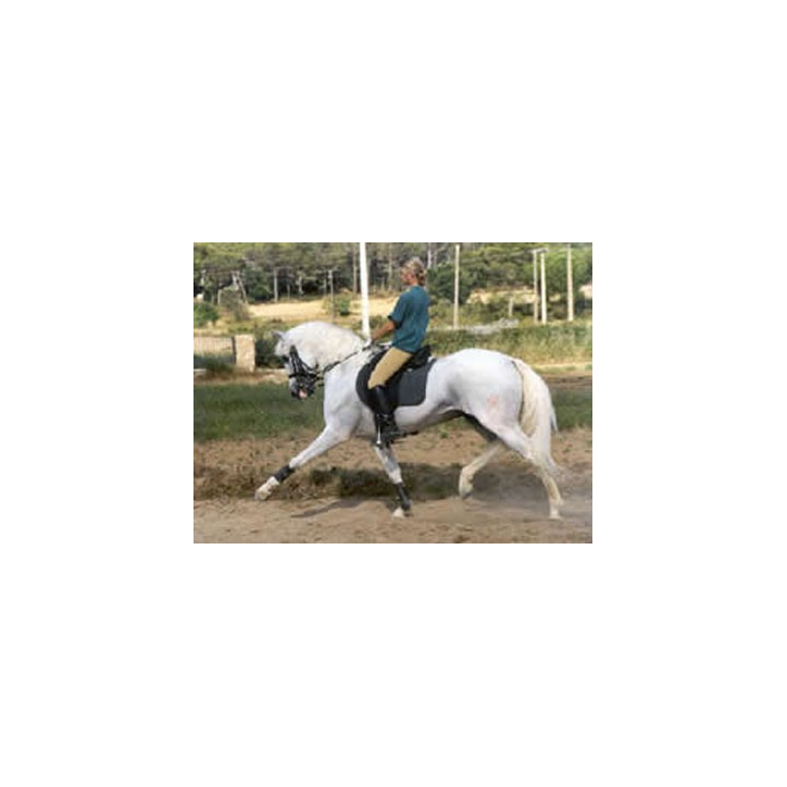 2006: Belgique Loisir