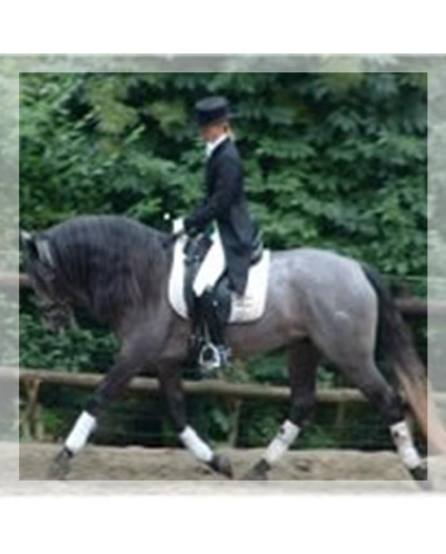 Concours CDC N2 « Belgique »