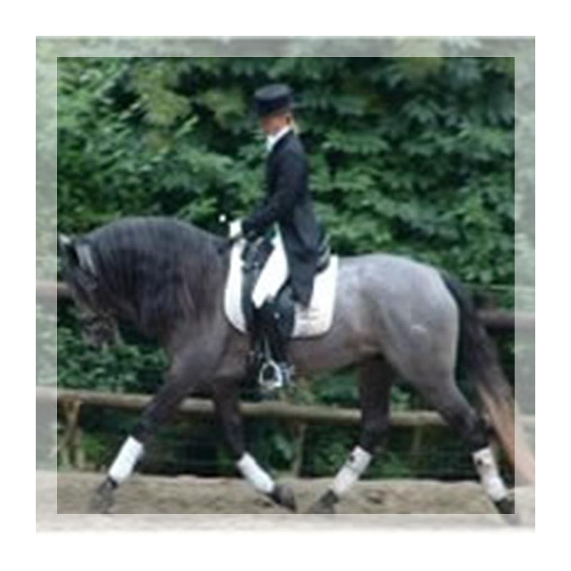 Concours CDC N2 « Belgique »