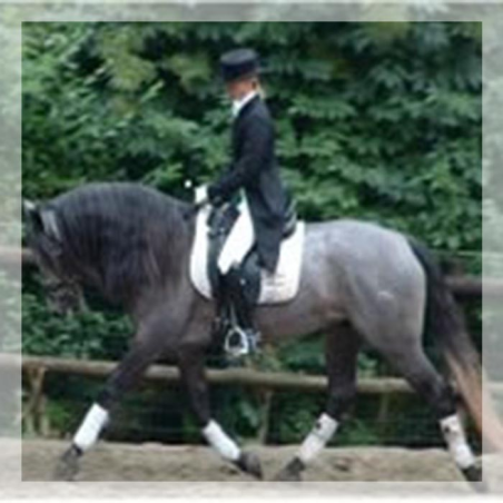 Concours CDC N2 « Belgique »