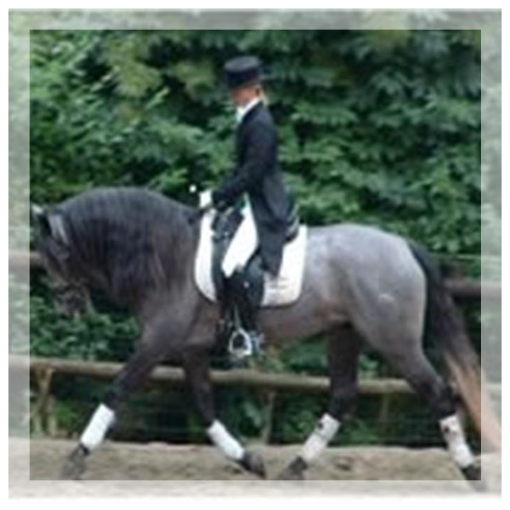 Concours CDC N2 « Belgique »