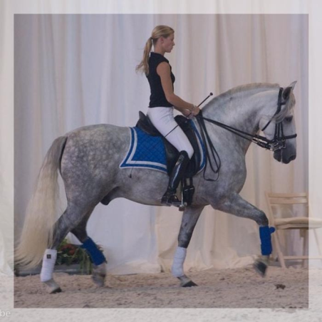 Grand prix « Belgique »