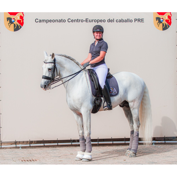 Milenio Alegria Milenio Alegria