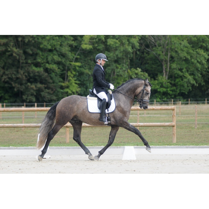 Quieto Alegria Quieto Alegria