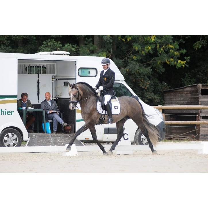 Quieto Alegria Quieto Alegria