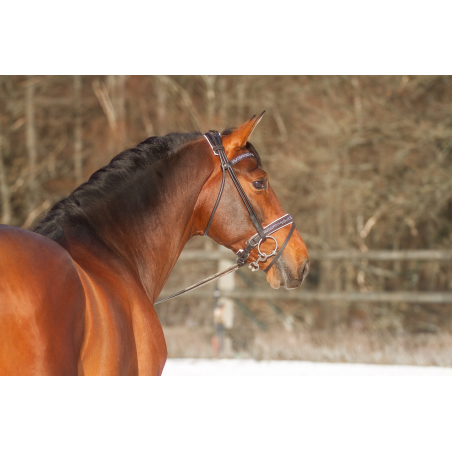 Etalon 2016 Bai travaillé