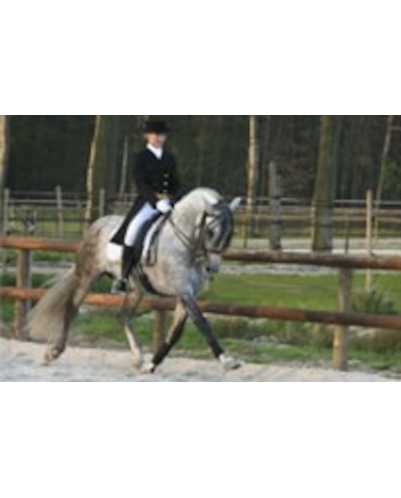 St-George + Haute ecole « Suisse »